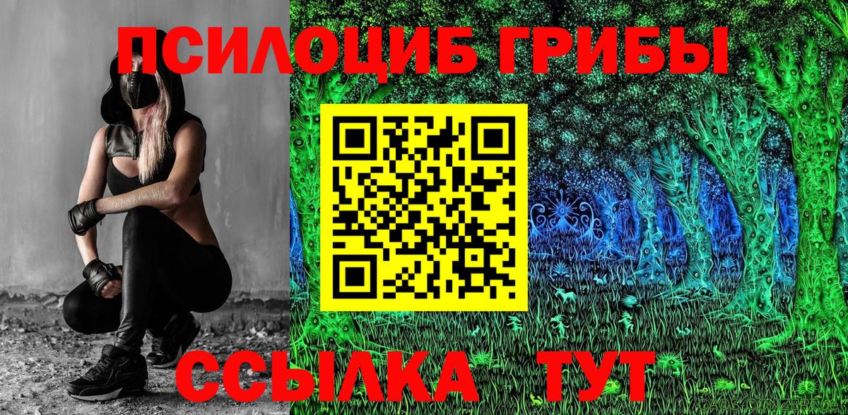 Галлюциногенные грибы мухоморы  Вход с VPN  купить наркотики сайты  Павловский Посад 